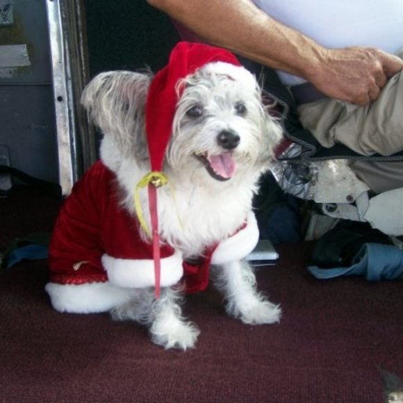 Meet your Posher, Jennifer - Picture 3 of 4